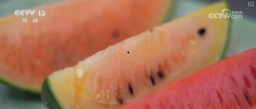 吃瓜最新,揭秘娱乐圈最新热点事件